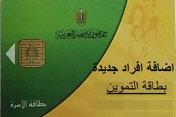 بوابة مصر الرقمية لإضافة المواليد
