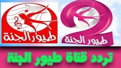 تردد قناه طيور الجنه