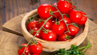 خلية الطماطم الثنائية