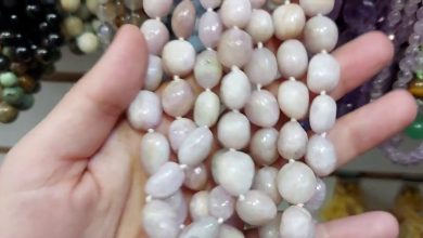 سعر اللؤلؤ الطبيعي في السعودية