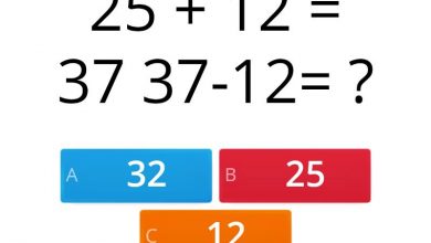 صرفت سلمى ٣٥ ريالا