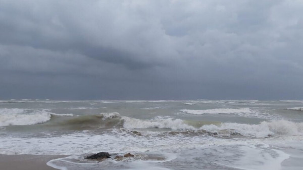 قوة اعصار شاهين