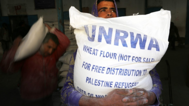 رابط فحص كابونة الوكالة 2021 الكابونة الموحدة