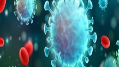 الاستعلام عن نتيجة فحص كورونا