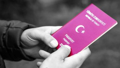 نتيجة مراحل التجنيس