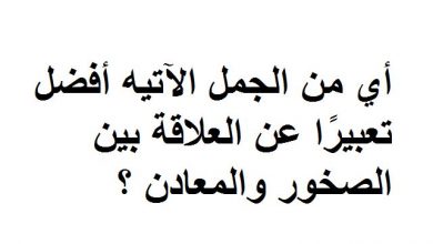 أي الجمل الآتيه أفضل تعبيرًا عن العلاقة بين الصخور والمعادن ؟