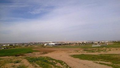 الاسكان التعاوني