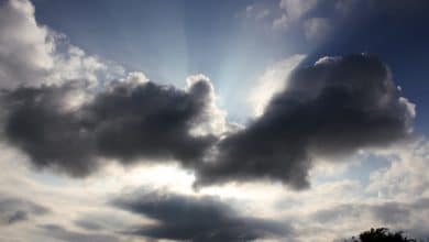 الأرصاد الجوية