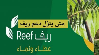 رابط الاستعلام عن دعم ريف 2022