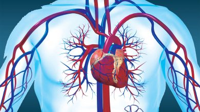 الأوعية الدموية التي تحمل الدم بعيدًا عن القلب هي ................