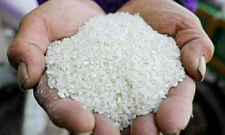 أسعار طن الشعير والأرز