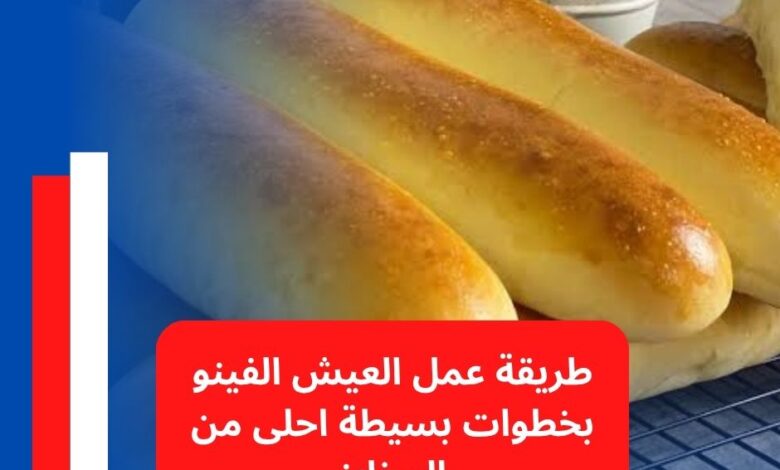 طريقة عمل العيش الفينو, العيش الفينو في البيت, فينو المدارس, وصفات عيش, طريقة عمل فينو طري, عيش الفينو خطوة بخطوة, مخبوزات سهلة, وصفات سفرة, وصفات إفطار, طريقة عمل العيش الفينو زي المخابز, وصفات منزلية, وجبات المدرسة
