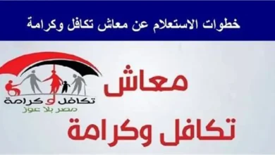 كيفية استعلام تكافل وكرامة بالرقم القومي بسهولة عبر الإنترنت