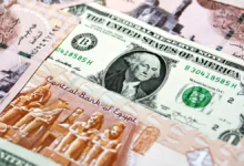 سعر الدولار مقابل الجنيه المصري اليوم الاثنين 24 نوفمبر 2025