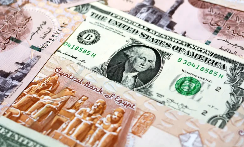 سعر الدولار مقابل الجنيه المصري اليوم الاثنين 24 نوفمبر 2025