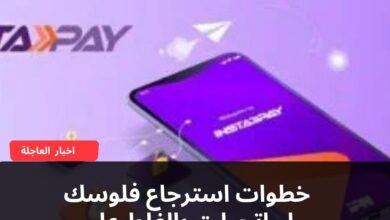 خطوات استرجاع فلوسك لو اتحولت بالغلط على تطبيق إنستاباى
