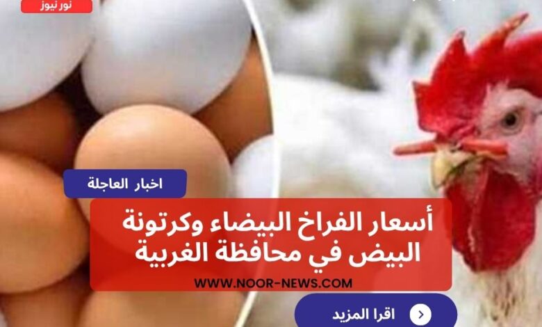 أسعار الفراخ البيضاء وكرتونة البيض