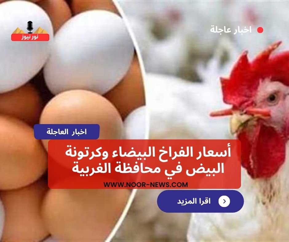 أسعار الفراخ البيضاء وكرتونة البيض