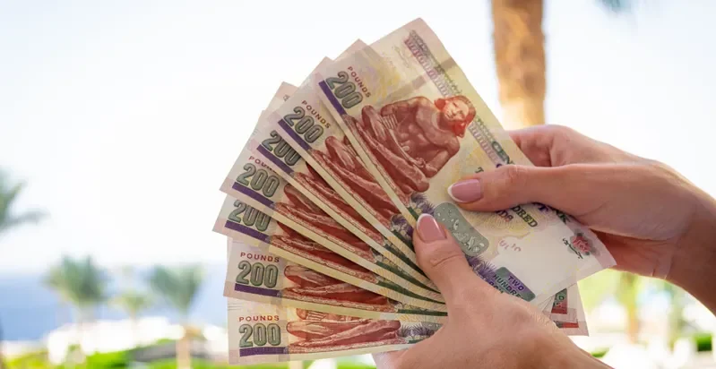 زيادة معاشات شهر يناير 2026 زيادة معاشات شهر يناير 2026