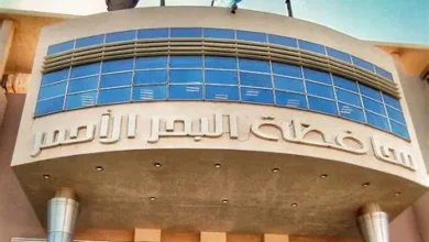 سيول البحر الأحمر