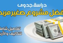 دراسة جدوى مشروع صغير