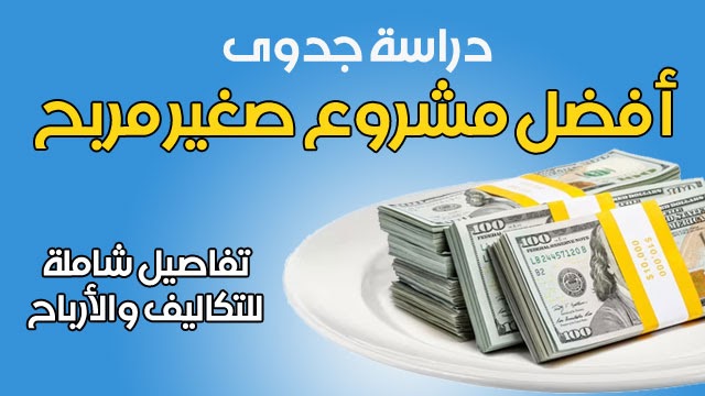 دراسة جدوى مشروع صغير